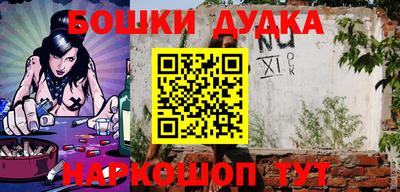 крисы Нальчик