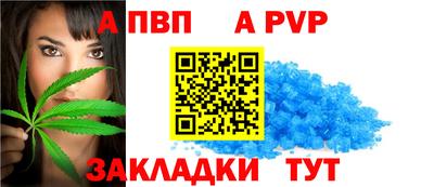 крисы Нальчик